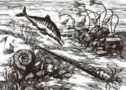 生机勃勃的原始海洋生物